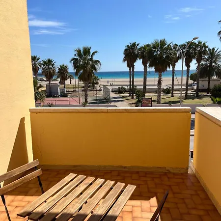 Faro 33